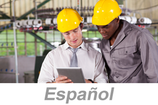 Picture of Applying Electrical Standards (Spanish) (PC Only)