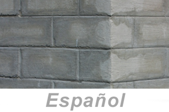 Picture of Concrete and Masonry (Spanish)