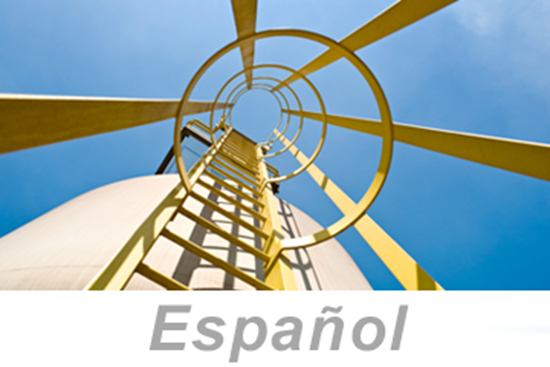 Picture of Ladder Safety (Spanish) (PC Only)