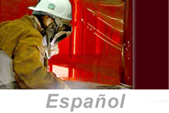 Picture of Welding, Cutting, and Brazing (Spanish) (PC Only)