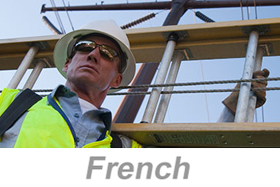 Picture of Ladder Safety - International (French) (PC Only)