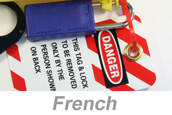 Picture of Electrical Safety and Lockout/Tagout - International (French) (PC Only)