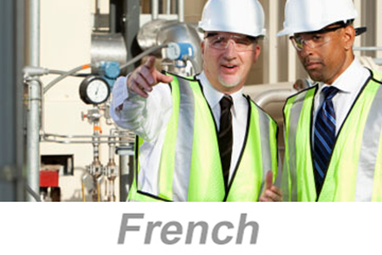 Picture of Personal Protective Equipment (PPE) Overview - International (French) (PC Only)