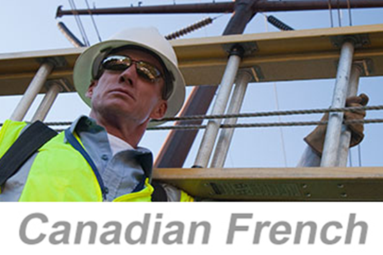 Picture of Ladder Safety - International (Canadian French) (PC Only)