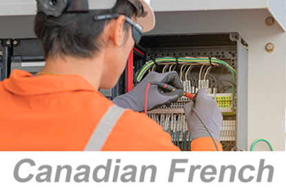 Picture of Applying Electrical Standards (US) (Canadian French)