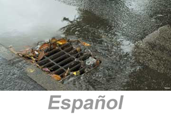 Picture of Stormwater Pollution Prevention (US) (Spanish)