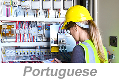 Picture of Using Electrical Safety Programs (US) (Portuguese)