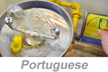 Picture of Using Eyewashes and Emergency Showers (Portuguese)