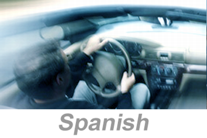 Imagen de Distracted Driving (Spanish)