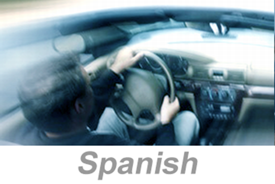 Picture of Distracted Driving (Spanish)