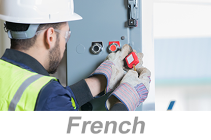 Picture of Lockout/Tagout (LOTO) Programs and Procedures (French)