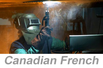 Picture of Personal Protective Equipment (PPE), Parts 1-10 (Canadian French) (IACET CEU=0.2)