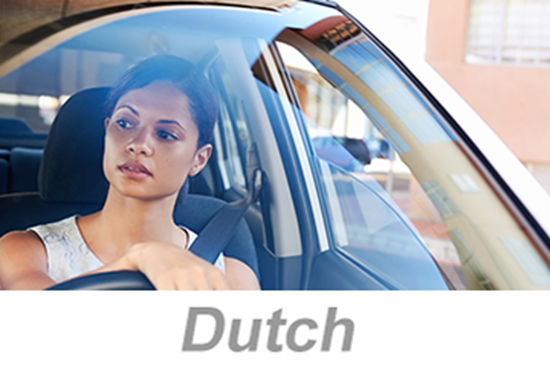 Picture of Defensive Driving - Small Vehicles (Dutch)