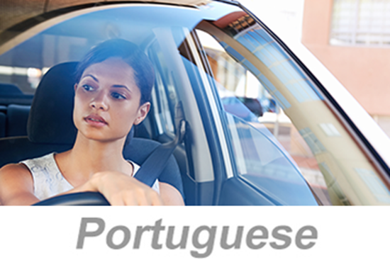 Picture of Defensive Driving - Small Vehicles (Portuguese)
