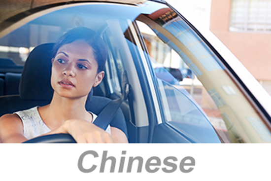 Picture of Defensive Driving - Small Vehicles (Chinese)