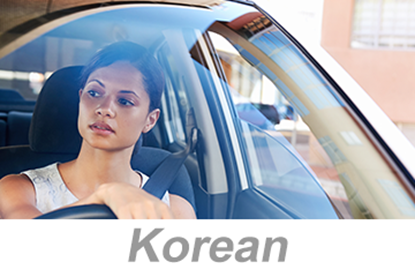 Picture of Defensive Driving - Small Vehicles (Korean)