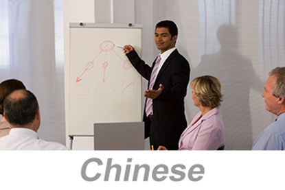 Picture of Integrated Systems - Achieving Organizational Excellence (Chinese)