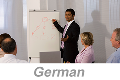 Picture of Integrated Systems - Achieving Organizational Excellence (German)
