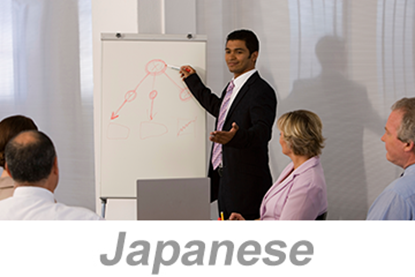 Picture of Integrated Systems - Achieving Organizational Excellence (Japanese)