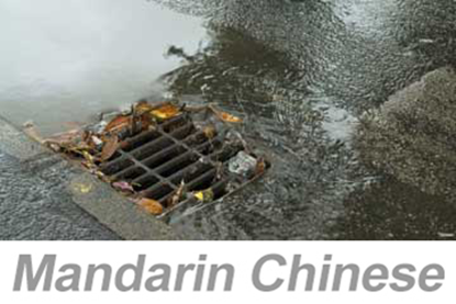 Picture of Stormwater Pollution Prevention (Chinese)