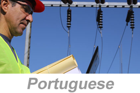 Picture of Culture of Early Reporting (Portuguese)