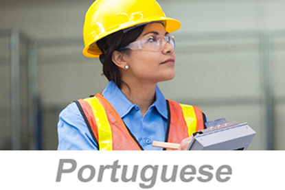 Picture of Inspections and Observations (Portuguese)