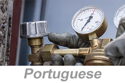 Picture of Compressed Gas Cylinder Safety (Portuguese)