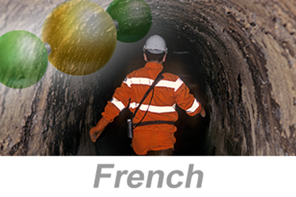 Picture of Hydrogen Sulfide (H2S) Awareness (French)