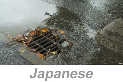 Picture of Stormwater Pollution Prevention (US) (Japanese)