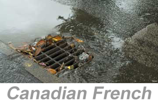Picture of Stormwater Pollution Prevention (US) (Canadian French)
