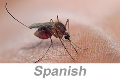 Picture of Vector-Borne Disease Awareness: Mosquitoes, Ticks and Other Pests (Spanish)