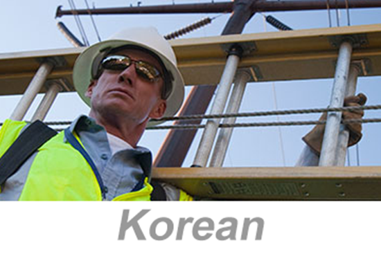 Picture of Ladder Safety (Korean)