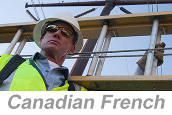 Picture of Ladder Safety (Canadian French)