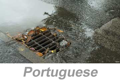 Picture of Stormwater Pollution Prevention (US) (Portuguese)