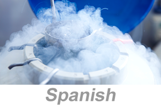 Picture of Cryogen Safety (Spanish)