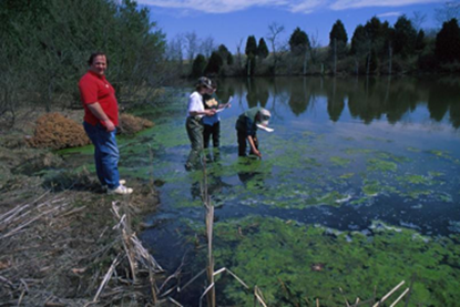 Picture of Environmental Overview (US)