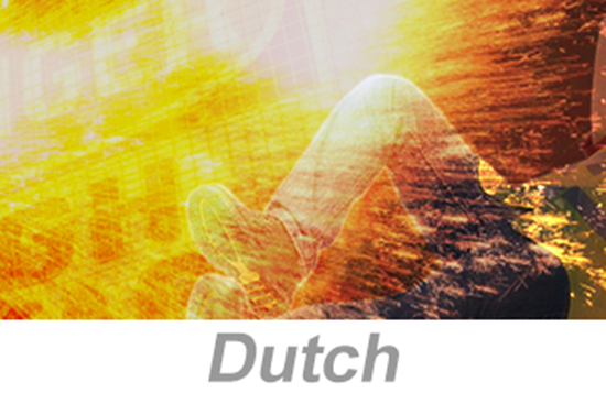 Picture of Electrical Arc Flash Awareness (Dutch)