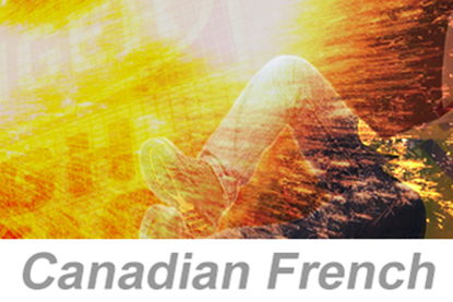 Picture of Electrical Arc Flash Awareness (Canadian French)