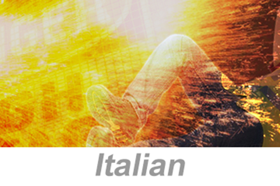 Picture of Electrical Arc Flash Awareness (Italian)