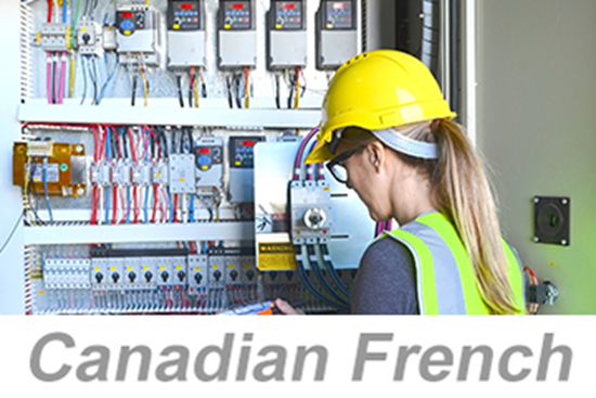 Picture of Using Electrical Safety Programs (US) (Canadian French)