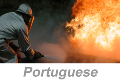 Picture of Fire Watch (Portuguese)