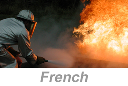 Picture of Fire Watch (French)