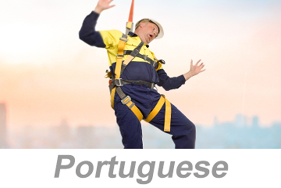 Picture of Fall Protection: Rescues (Portuguese)