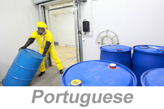 Picture of Hazardous Chemical Information - Safety Data Sheets - International (Portuguese)