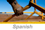 Picture of Hand, Wrist and Finger Safety Awareness (Spanish)
