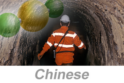 Picture of Hydrogen Sulfide (H2S) Awareness (Chinese)