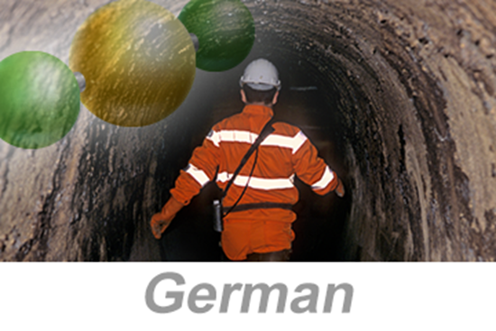 Picture of Hydrogen Sulfide (H2S) Awareness (German)