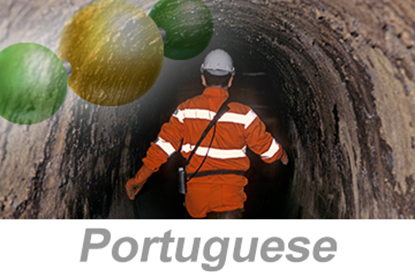 Picture of Hydrogen Sulfide (H2S) Awareness (Portuguese)