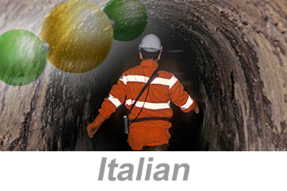 Picture of Hydrogen Sulfide (H2S) Awareness (Italian)