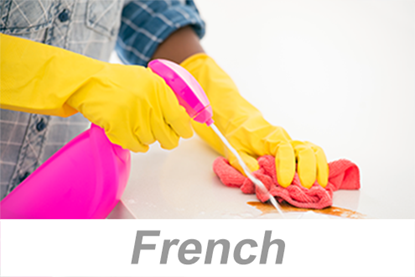 Picture of Housekeeping on the Job (French)